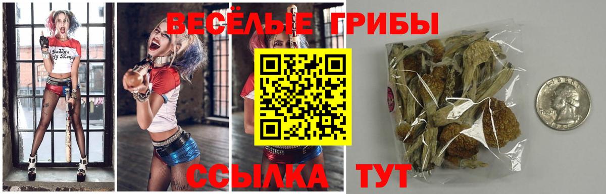 Галлюциногенные грибы MAGIC MUSHROOMS Воскресенск